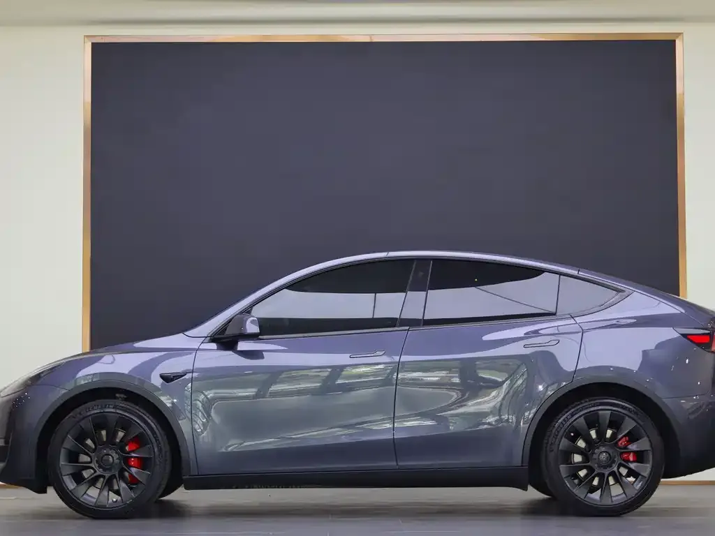 Tesla Model Y 2021 из CN, фото 2