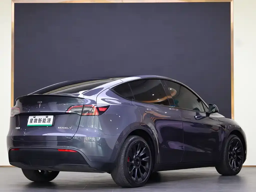 Tesla Model Y 2021 из CN, фото 6