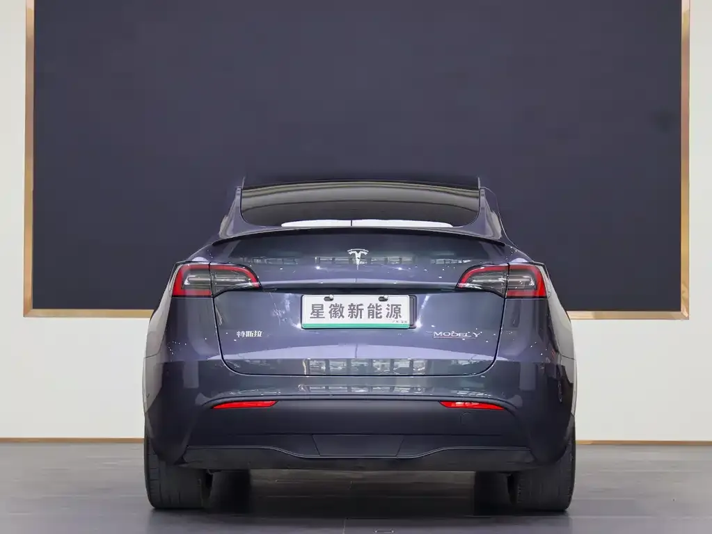 Tesla Model Y 2021 из CN, фото 5