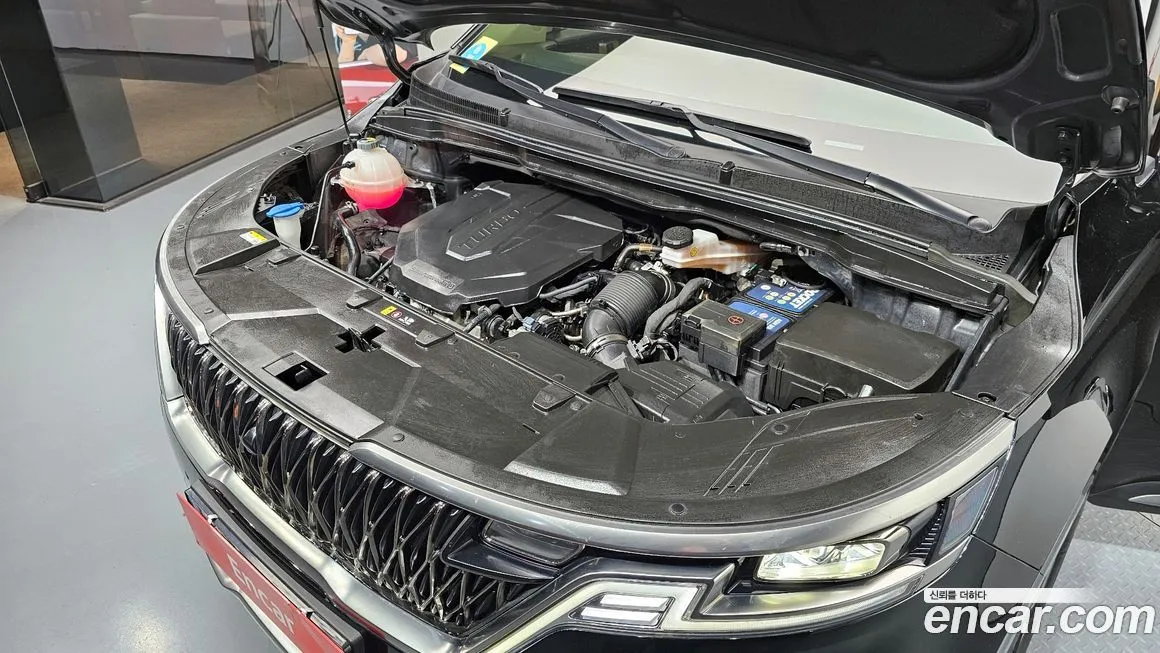 Kia Carnival — фото 10
