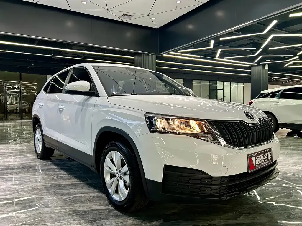 Skoda Kamiq 2024 из CN, фото 5