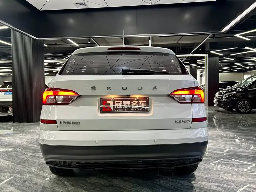 Skoda Kamiq 2024 из CN, фото 6