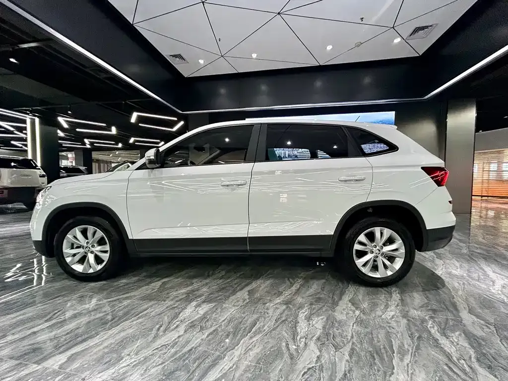 Skoda Kamiq 2024 из CN, фото 2