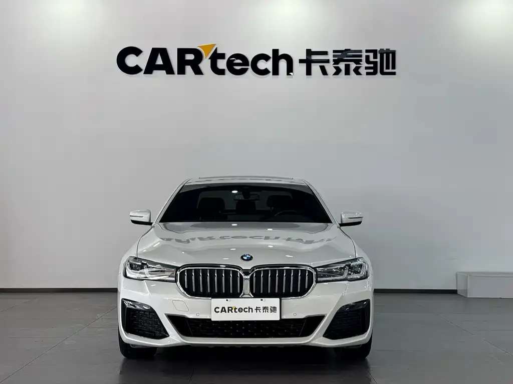 BMW 5 Series 2021 из CN, фото 6