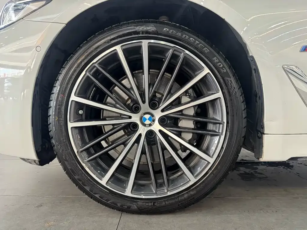 BMW 5 Series 2021 из CN, фото 7