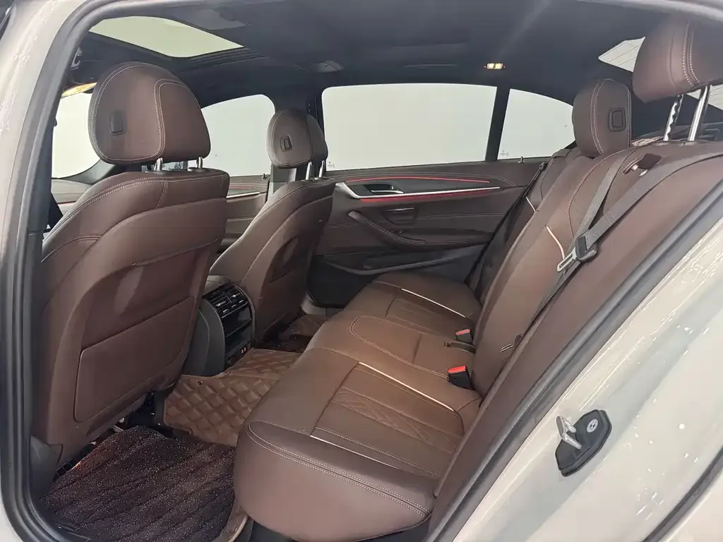 BMW 5 Series 2021 из CN, фото 8