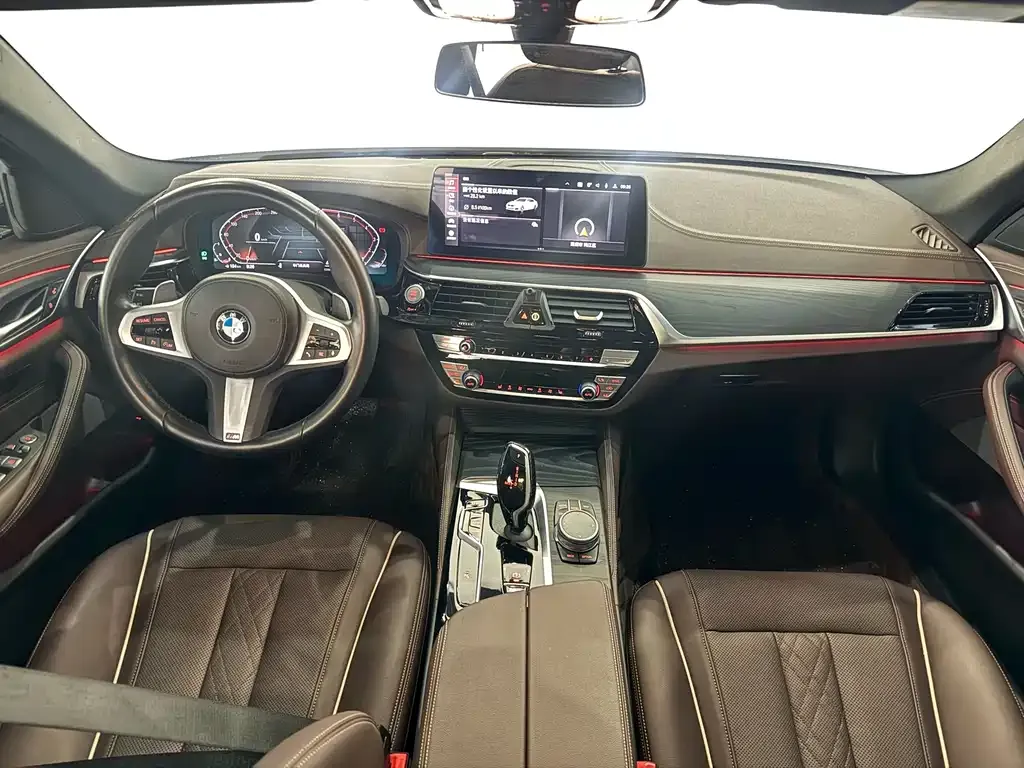 BMW 5 Series 2021 из CN, фото 10