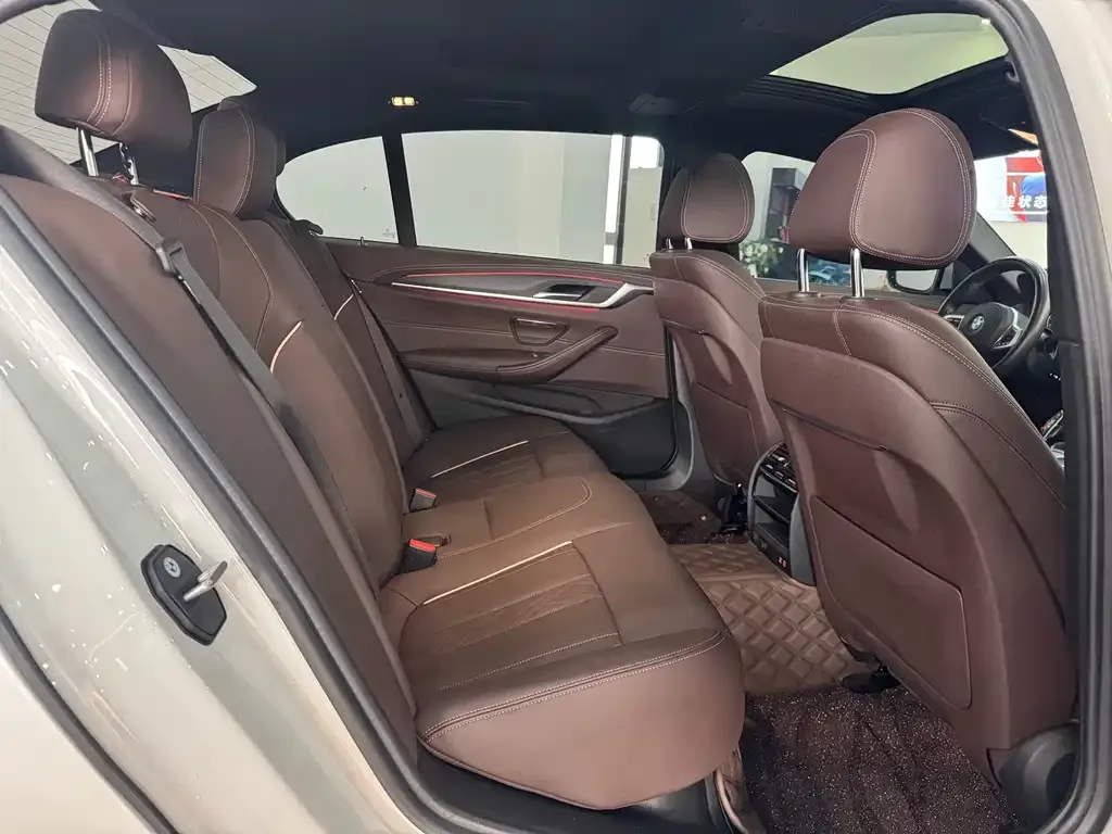 BMW 5 Series 2021 из CN, фото 4