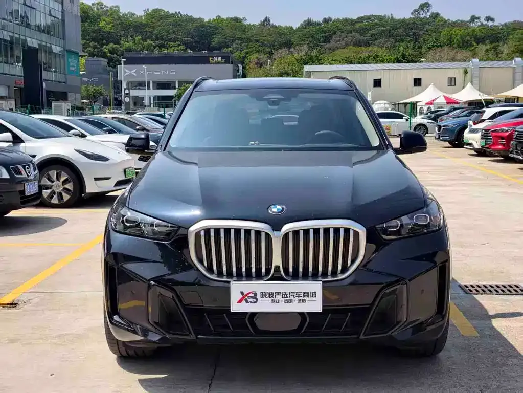 BMW X5 2025 из CN, фото 6