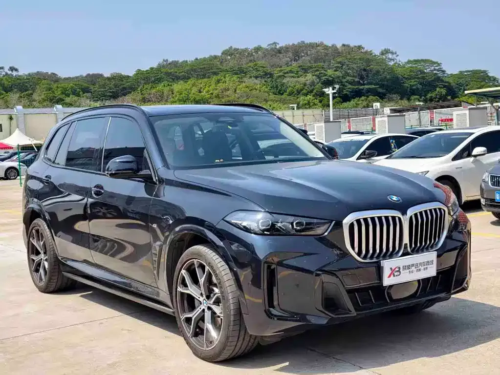 BMW X5 2025 из CN, фото 7