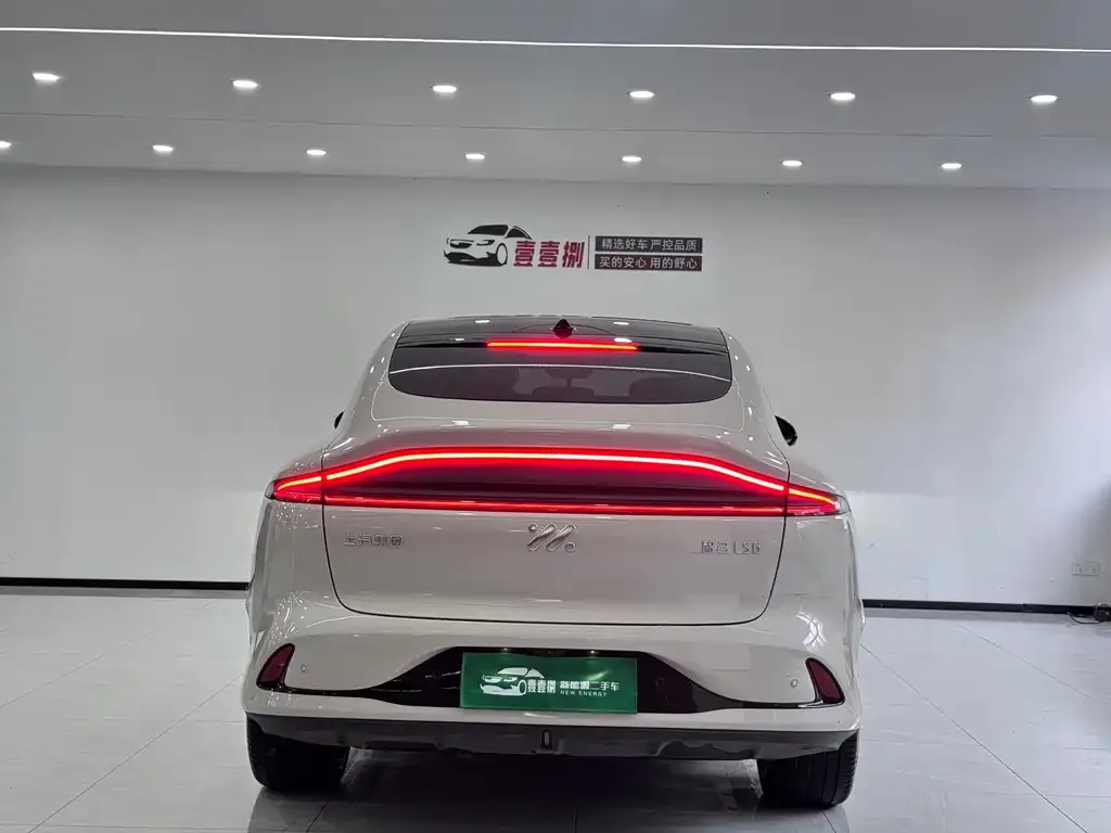 IM IM LS6 2023 из CN, фото 9