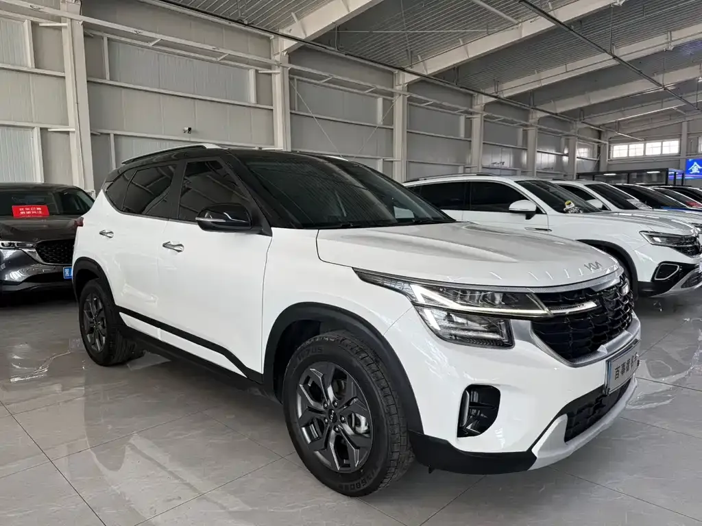 Kia Seltos 2023 из CN, фото 6