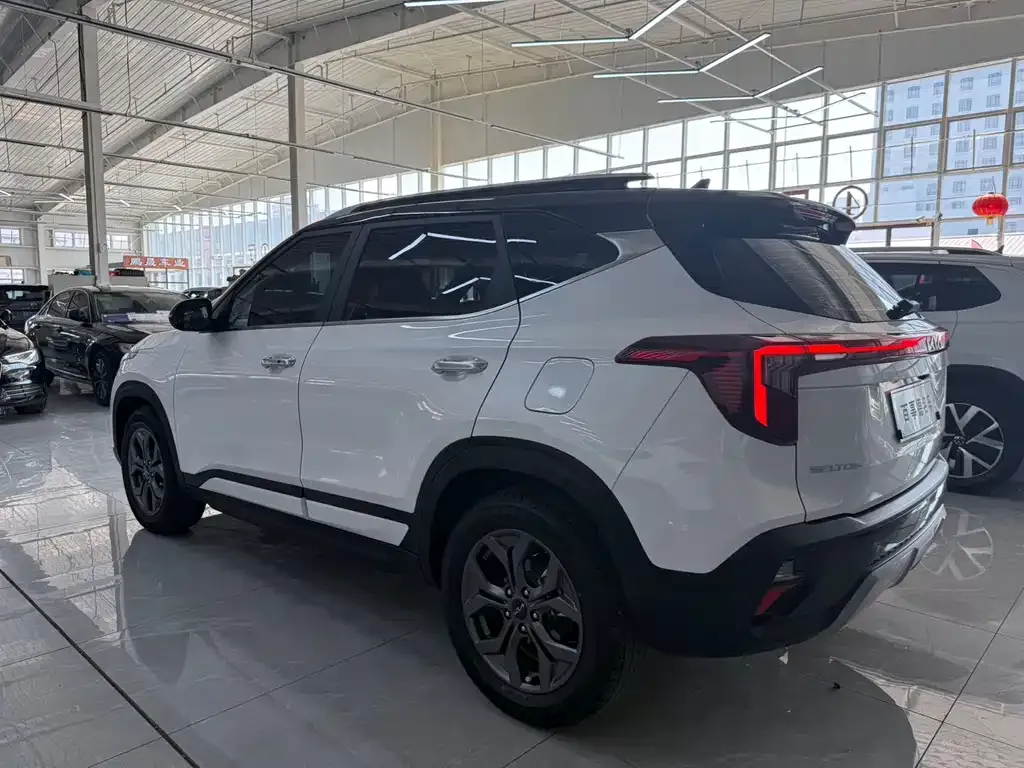 Kia Seltos 2023 из CN, фото 8