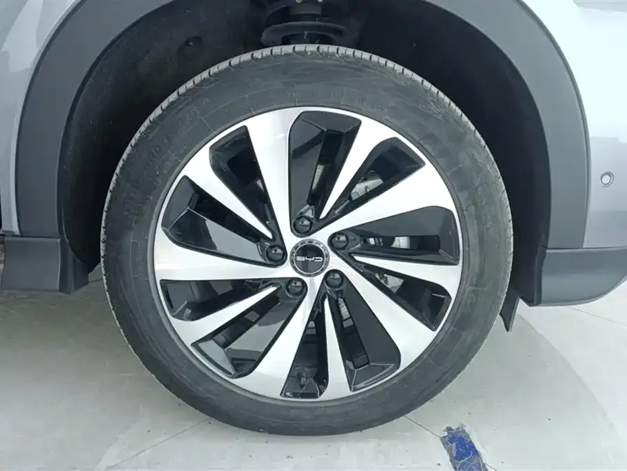 BYD PLUS New Energy — фото 10