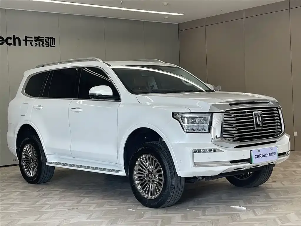 Tank 500 New Energy 2025 из CN, фото 9