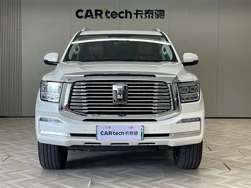 Tank 500 New Energy 2025 из CN, фото 6