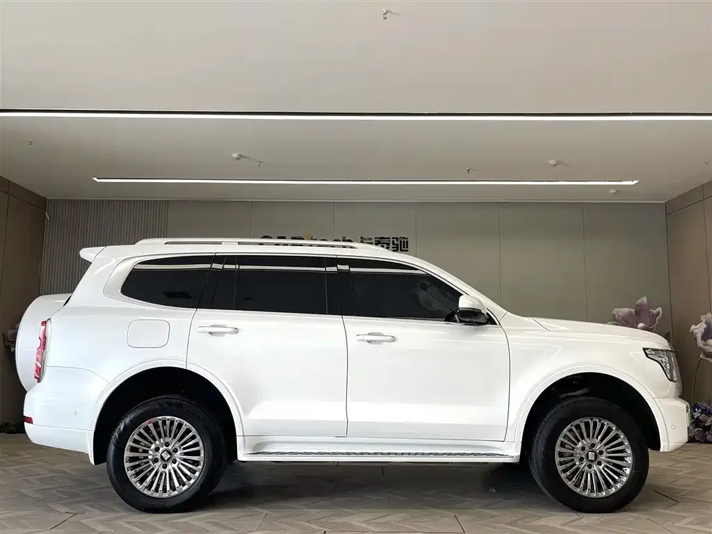 Tank 500 New Energy 2025 из CN, фото 2