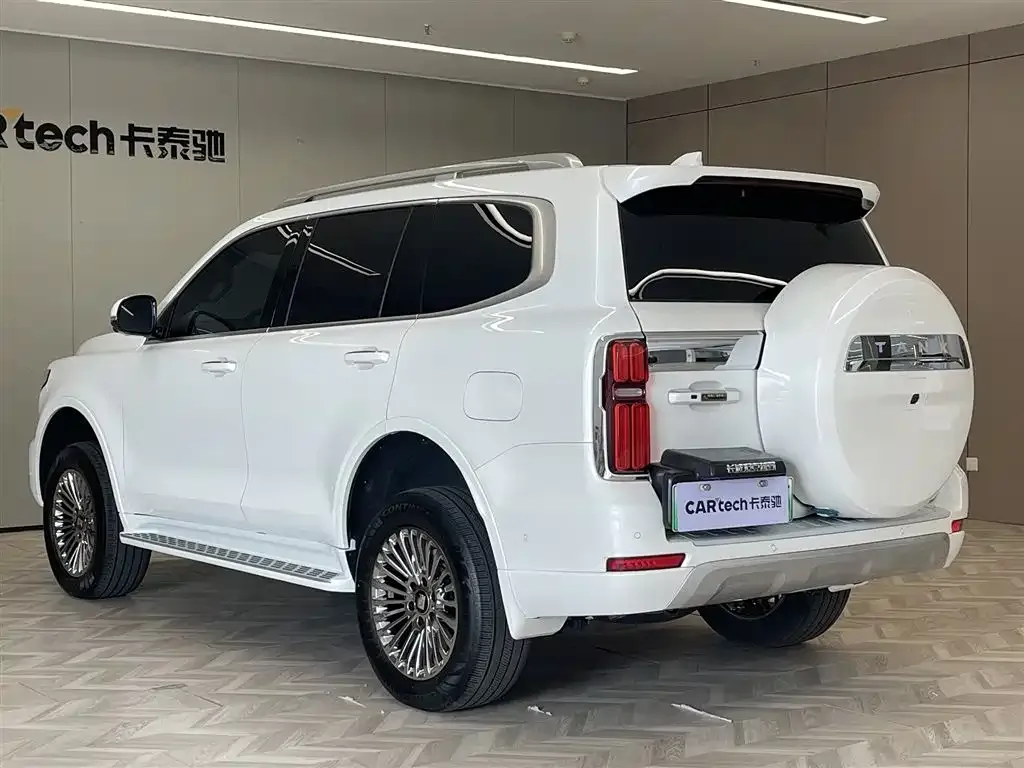 Tank 500 New Energy 2025 из CN, фото 10