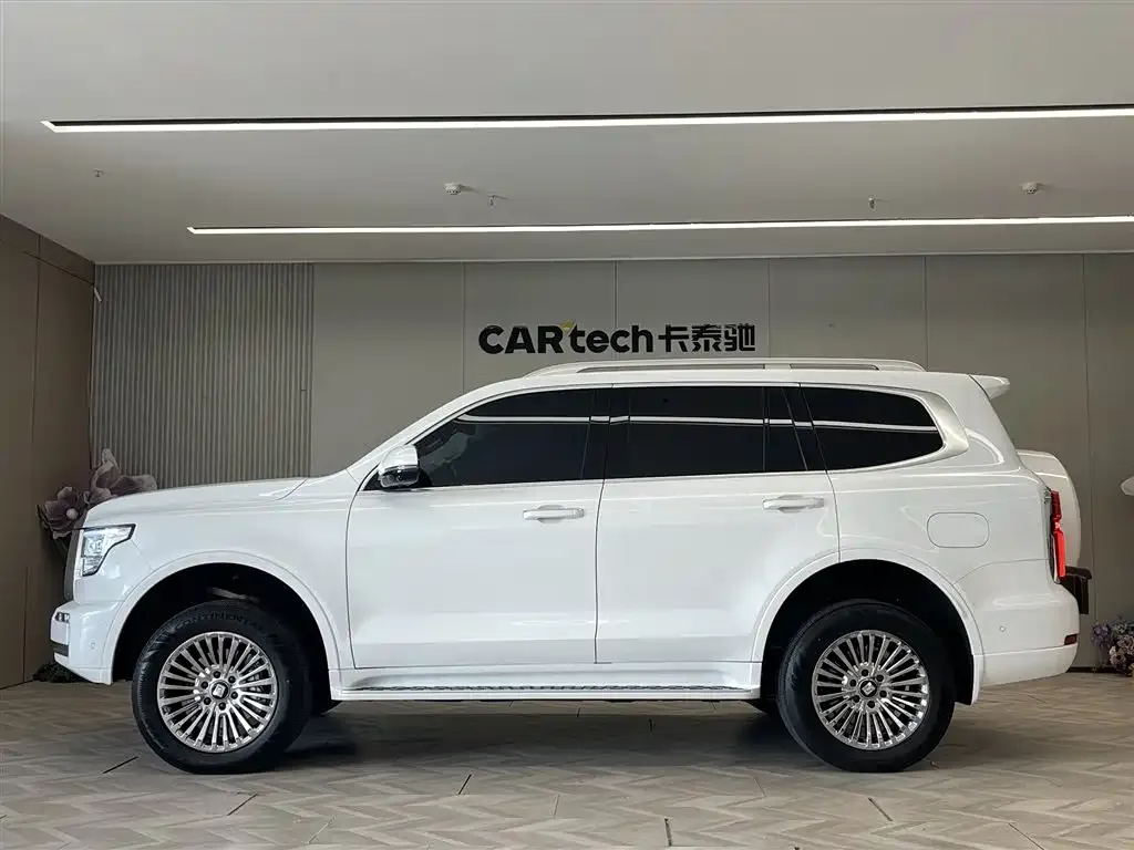 Tank 500 New Energy 2025 из CN, фото 4