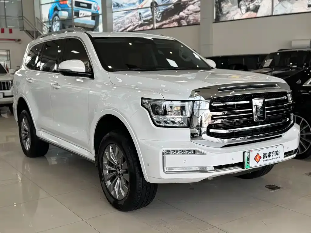 Tank 500 New Energy 2024 из CN, фото 9