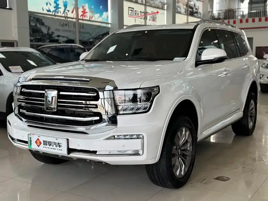 Tank 500 New Energy 2024 из CN, фото 8