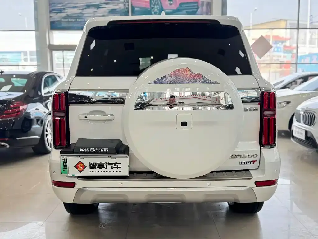 Tank 500 New Energy 2024 из CN, фото 7