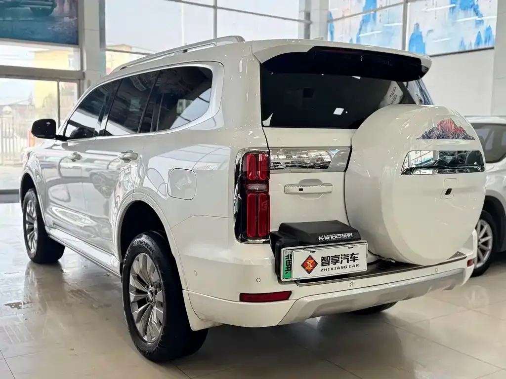 Tank 500 New Energy 2024 из CN, фото 3