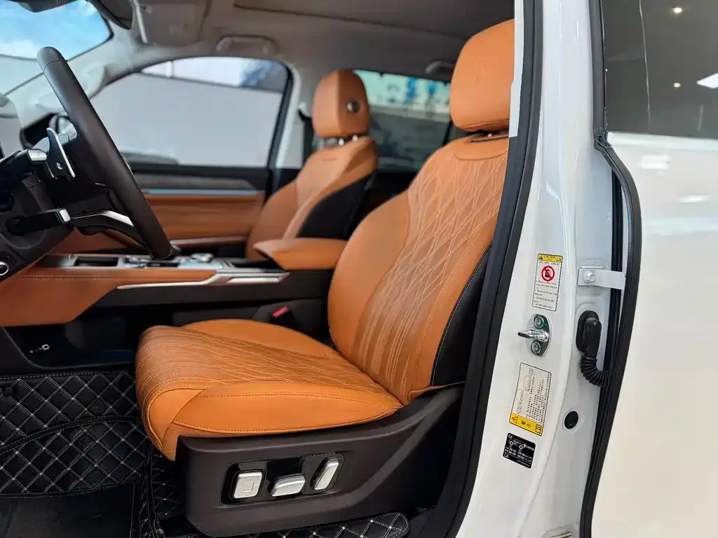 Tank 500 New Energy 2024 из CN, фото 6