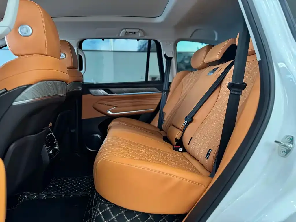 Tank 500 New Energy 2024 из CN, фото 5