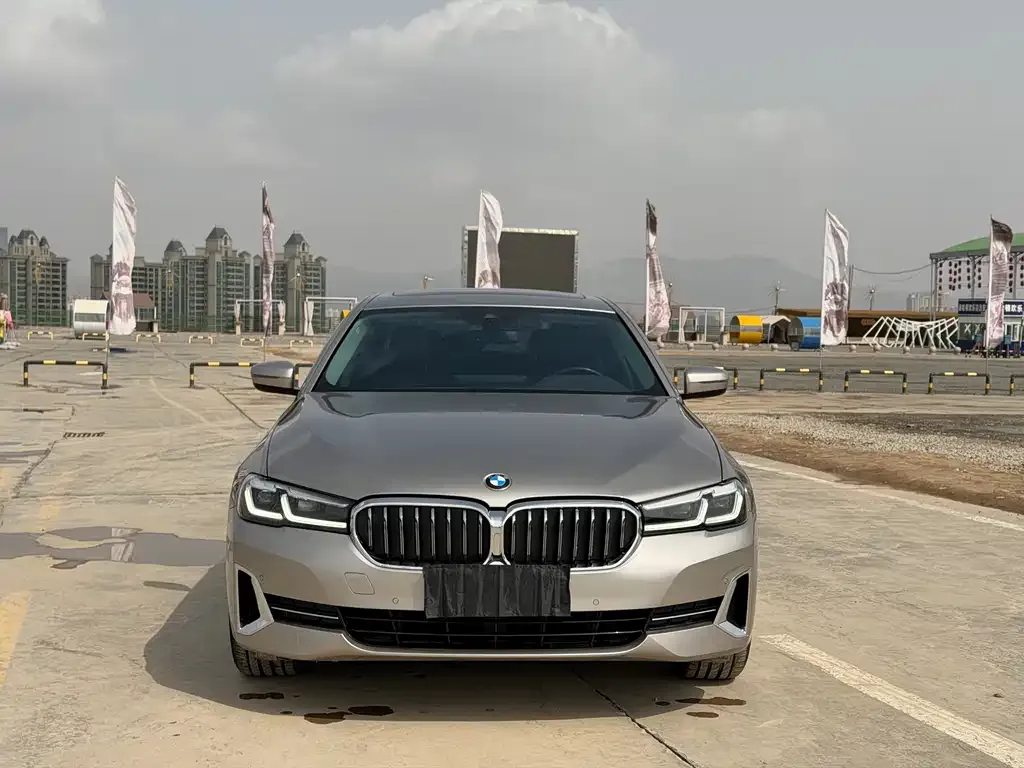 BMW 5 Series 2022 из CN, фото 10