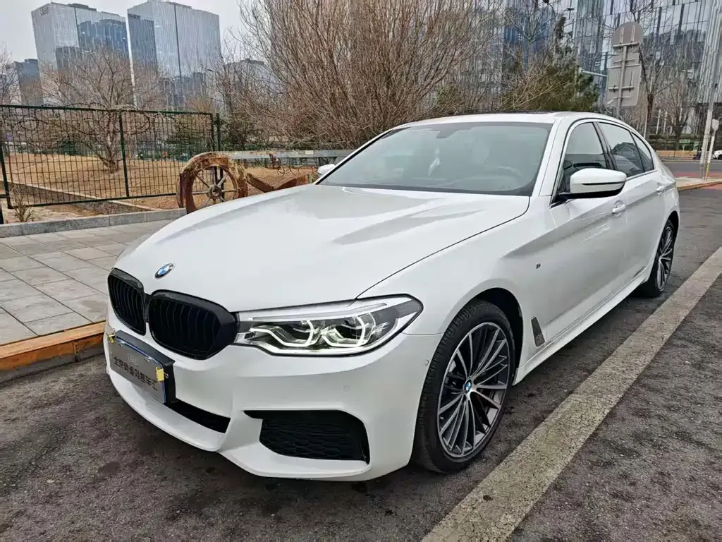 BMW 5 Series 2021 из CN, фото 1