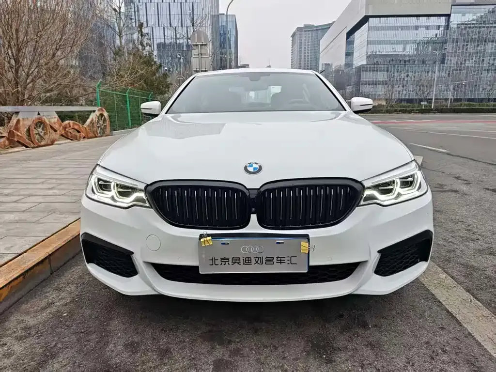 BMW 5 Series 2021 из CN, фото 6