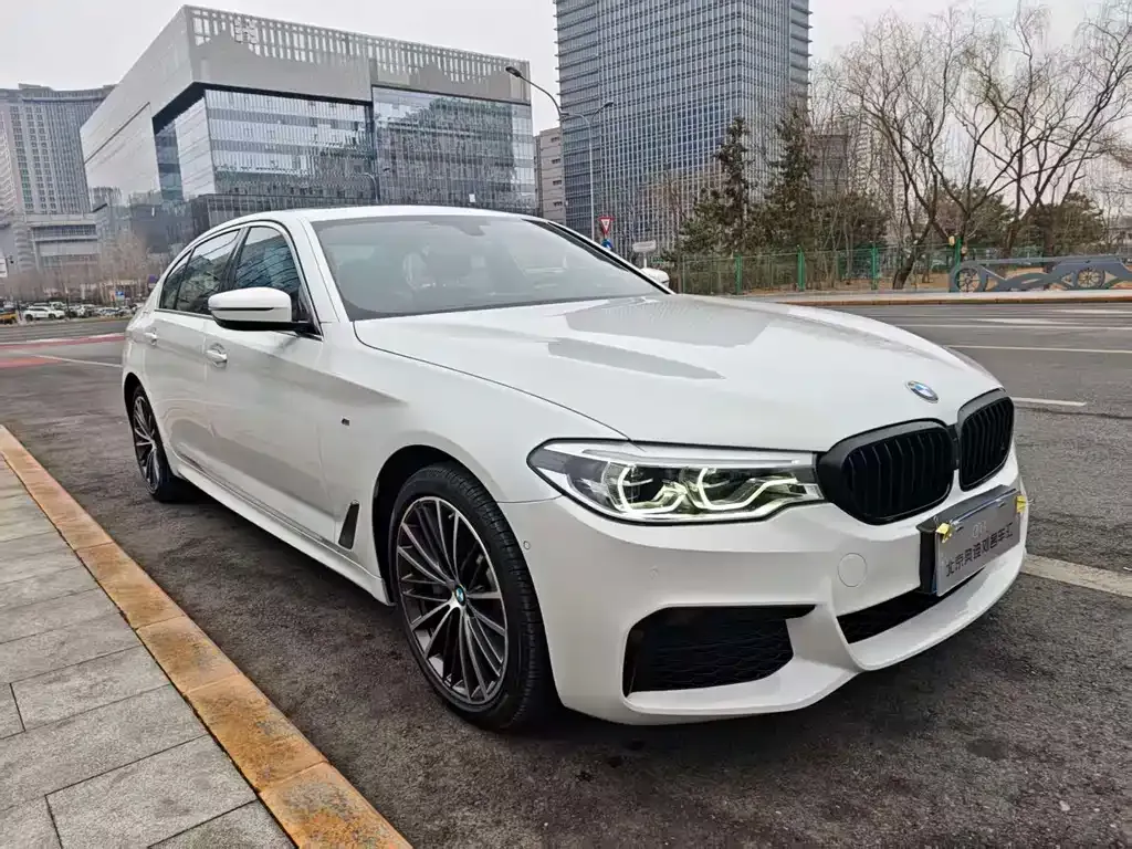 BMW 5 Series 2021 из CN, фото 5