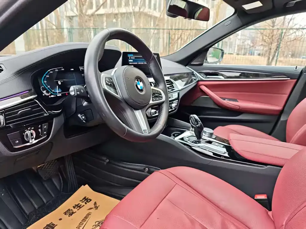 BMW 5 Series 2021 из CN, фото 7