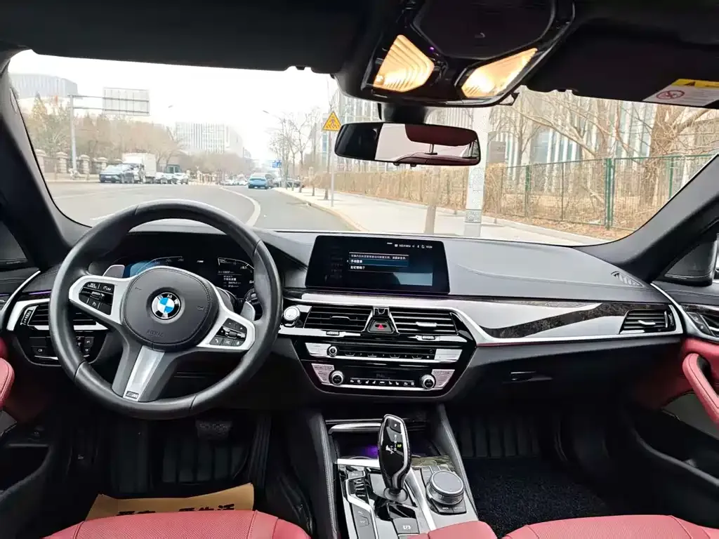 BMW 5 Series 2021 из CN, фото 3