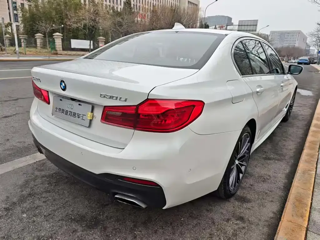 BMW 5 Series 2021 из CN, фото 2