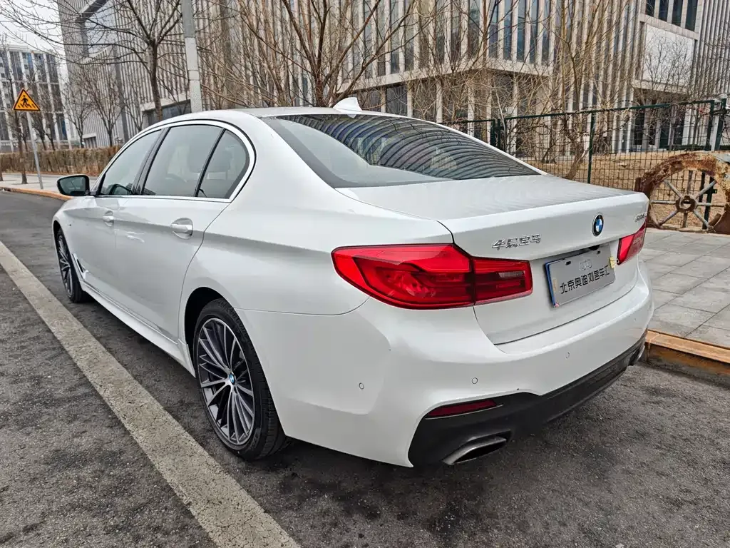 BMW 5 Series 2021 из CN, фото 9