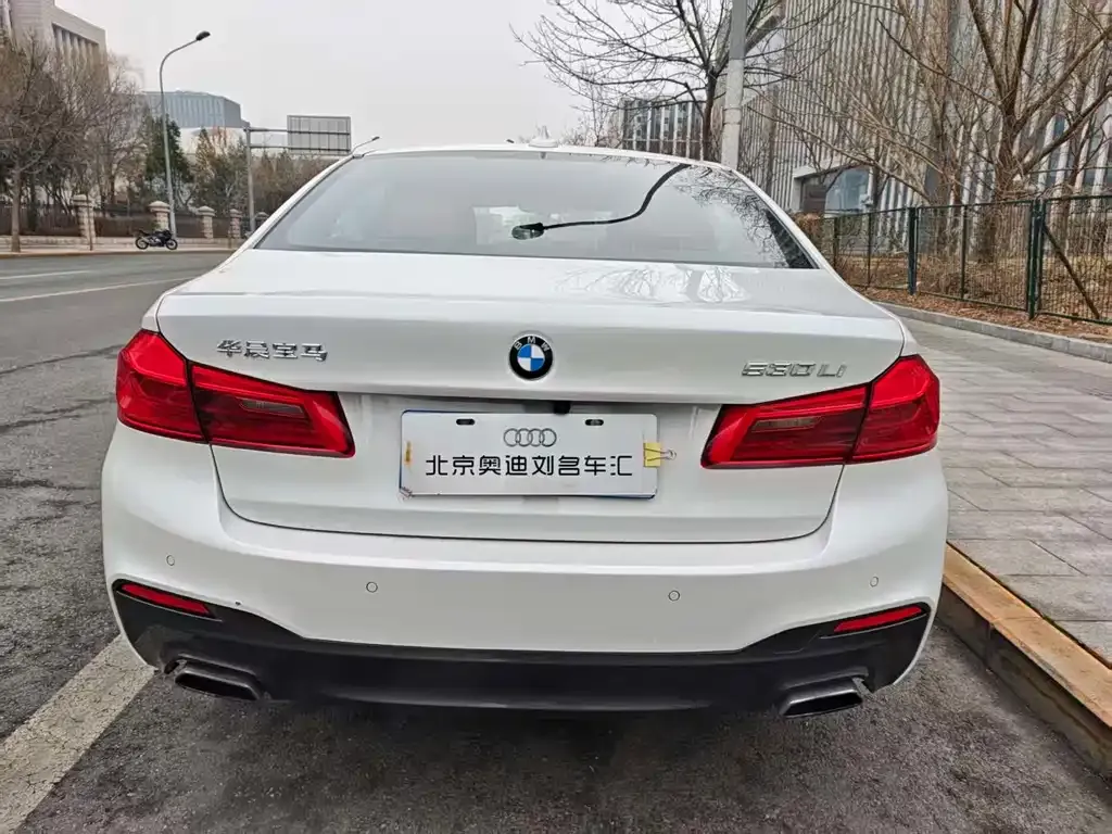 BMW 5 Series 2021 из CN, фото 4