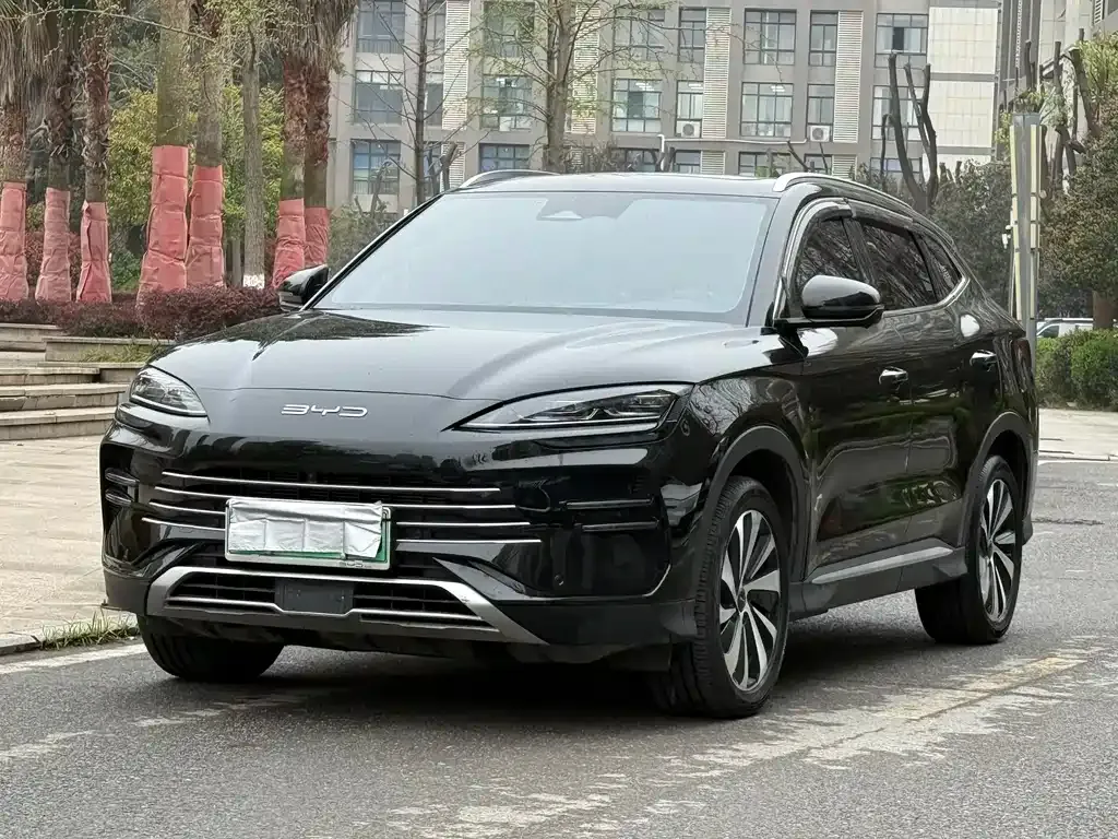BYD PLUS New Energy — фото 1