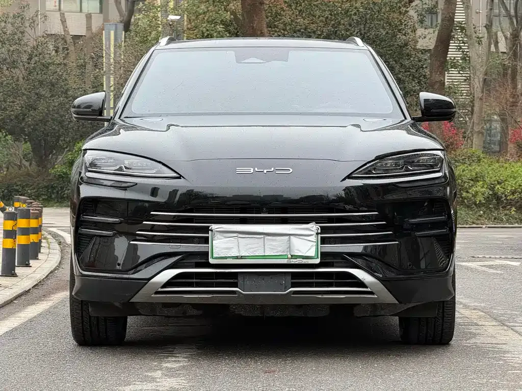 BYD PLUS New Energy — фото 6