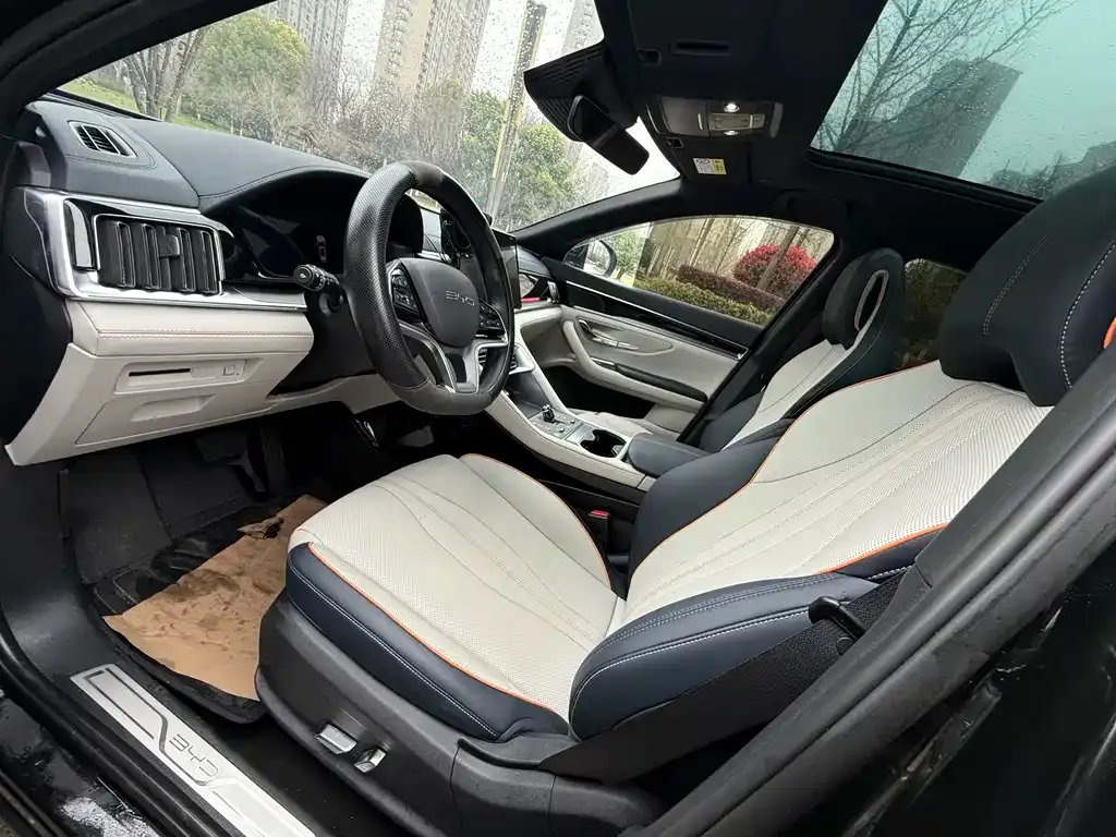 BYD PLUS New Energy — фото 3