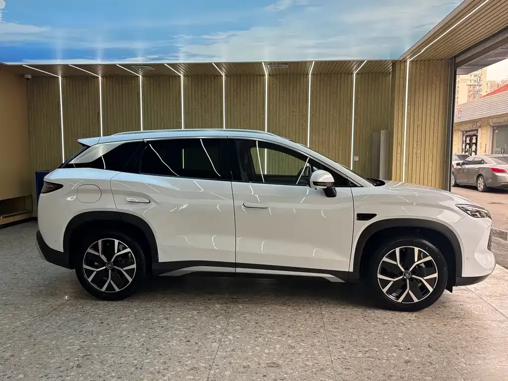BYD L DM-i — фото 4