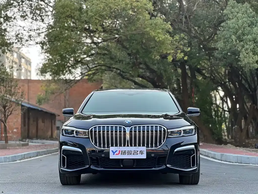 BMW 7 Series 2023 из CN, фото 9
