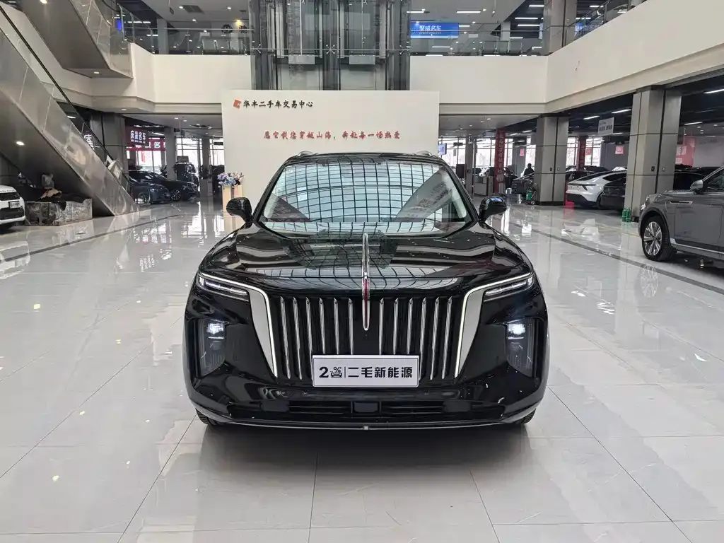 Hongqi E-HS9 — фото 2