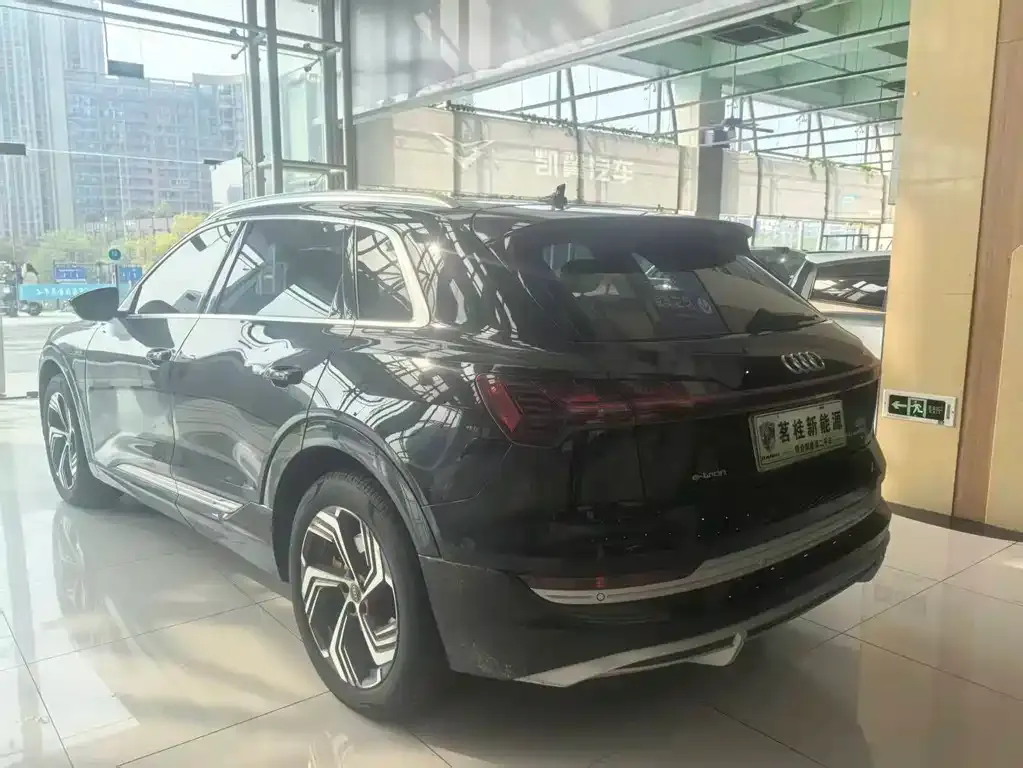 Audi e-tron 2022 из CN, фото 6