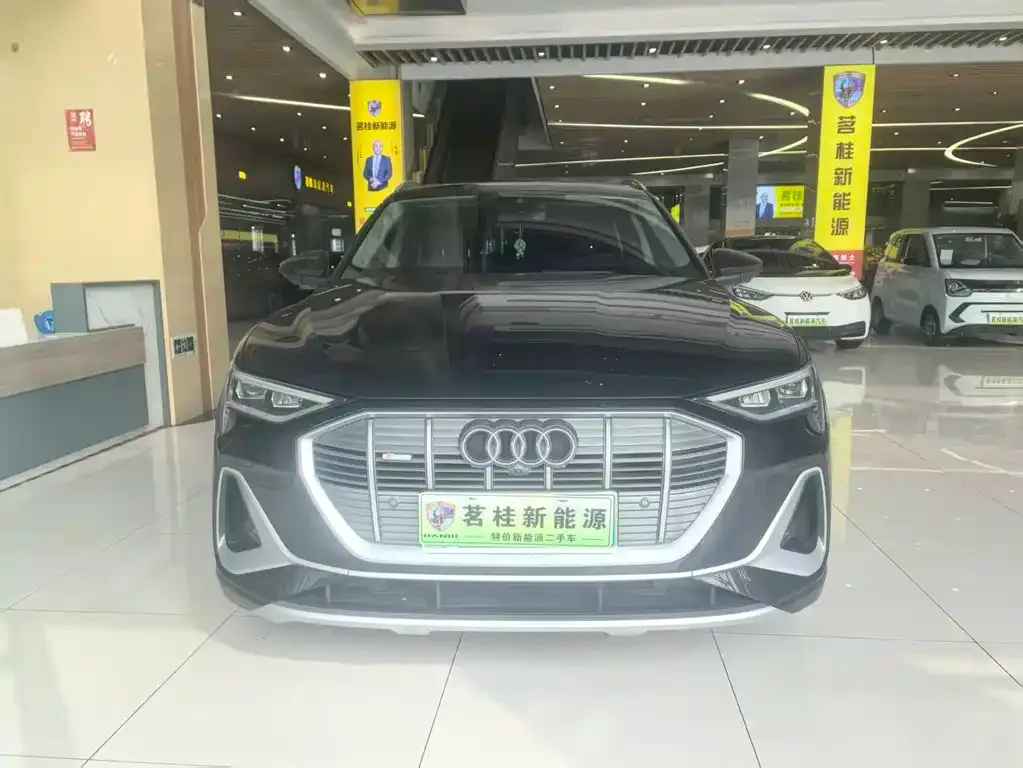Audi e-tron 2022 из CN, фото 4