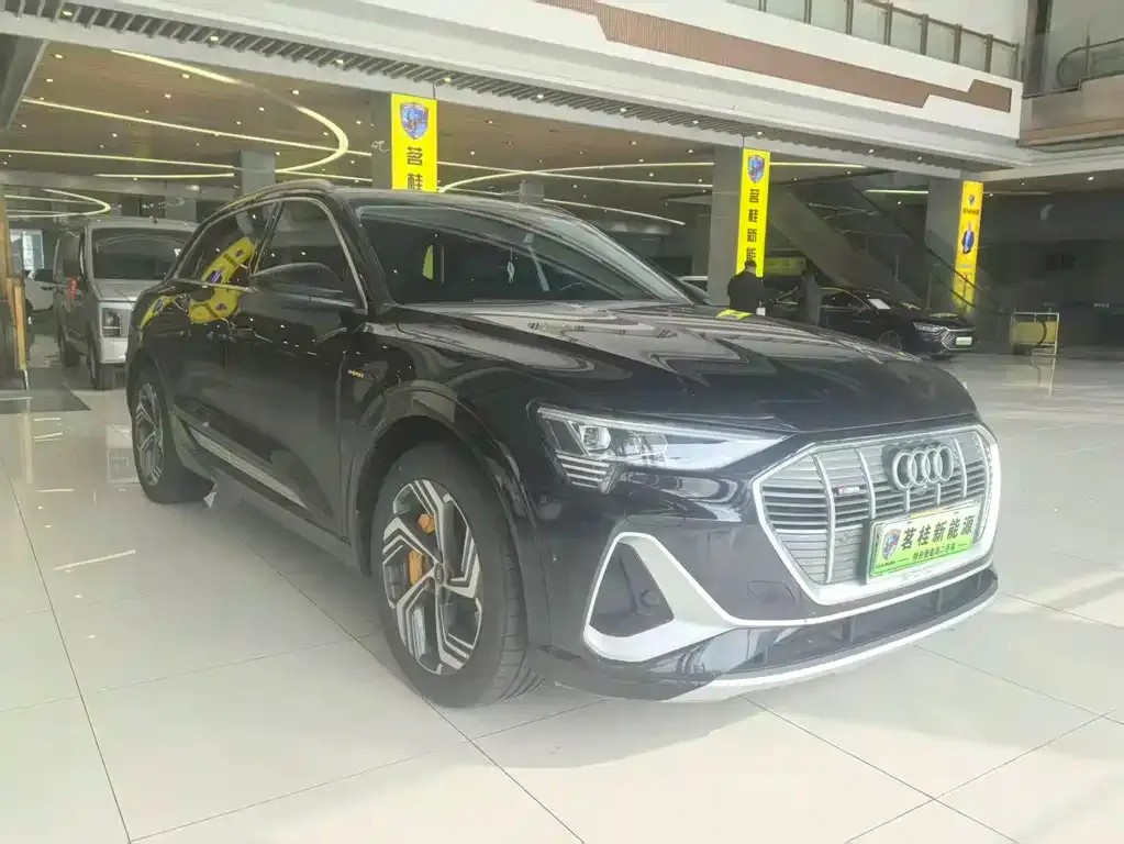 Audi e-tron 2022 из CN, фото 5