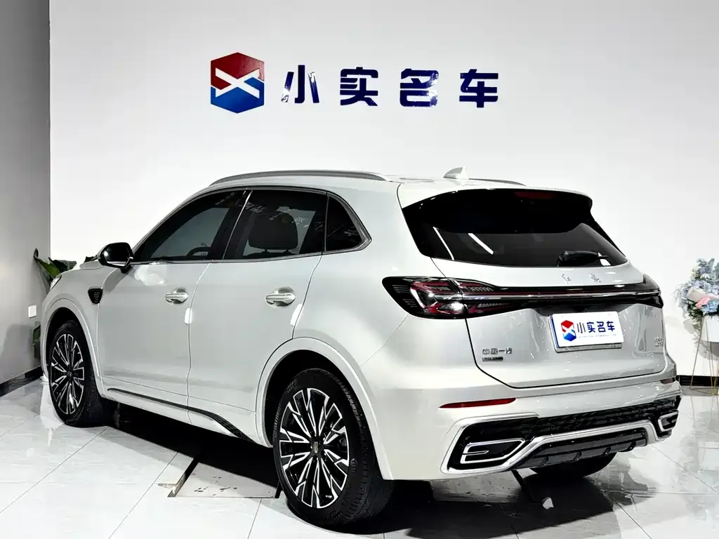 Hongqi HS5 2024 из CN, фото 10