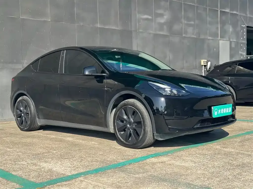 Tesla Model Y — фото 5