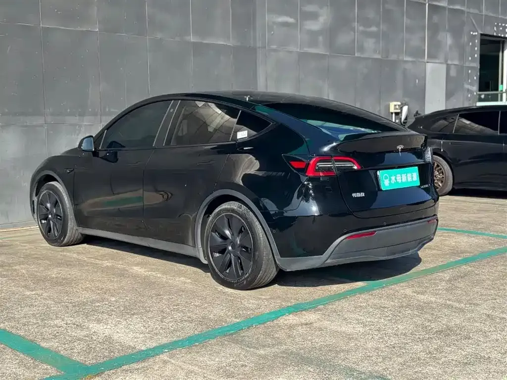 Tesla Model Y — фото 10